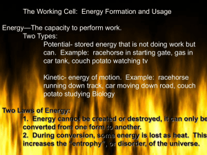 The Working Cell:  Energy Formation and Usage Energy Two Types: