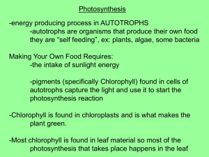 Photosynthesis -energy producing process in AUTOTROPHS