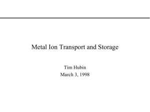 Metal Ion Transport and Storage Tim Hubin March 3, 1998