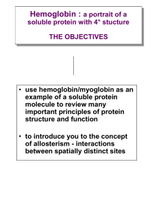 Hemoglobin :