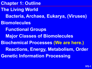 Chapter 1: Outline The Living World Bacteria, Archaea, Eukarya, (Viruses) Biomolecules