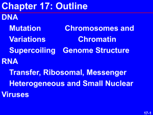 Chapter 17: Outline