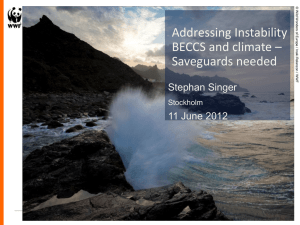 Addressing Instability BECCS and climate – Saveguards needed Stephan Singer