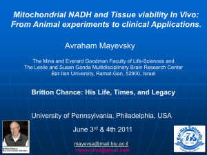 Avraham Mayevsky Mitochondrial NADH and Tissue viability In Vivo: