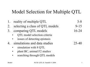 Model Selection for Multiple QTL