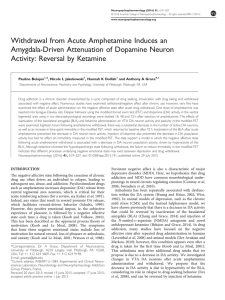 NeuroPsychopharmacology 2016- Withdrawal From Acute Amphetamine