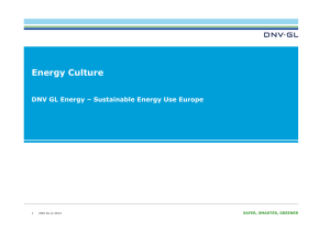 Energy Culture - Proceedings from eceee Summer Studies