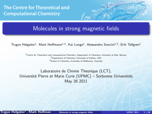 Molecules in strong magnetic fields