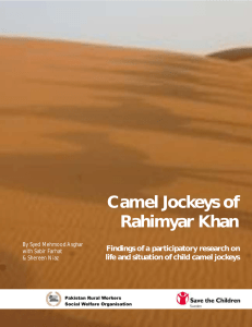 Camel Jockeys of Rahimyar Khan