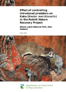 Effect of controlling introduced predators on Kaka in the Rotoiti