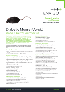 Diabetic Mouse (db/db)
