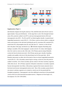 Supplementary Figure 1. (A) Schematic diagram showing the