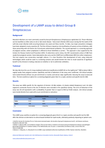 Development of a LAMP assay to detect Group B Streptococcus