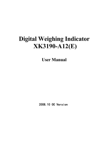 Digital Weighing Indicator XK3190-A12(E)