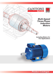 Multi-Speed Three-Phase Induction Motors