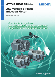 Low-Voltage 3-Phase Induction Motor Our abundant experience and