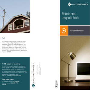 Electric And Magnetic Fields (EMF) Brochure