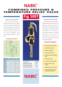 NABIC - Safety and Pressure Relief Valves