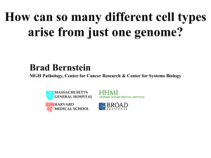 How can so many different cell types arise from just one genome?