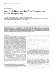 Motor Cortical Representation of Hand Translation and Rotation