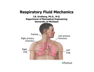 Respiratory Fluid Mechanics