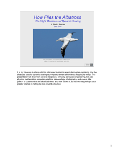 How Flies the Albatross