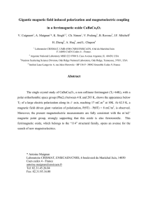 Gigantic magnetic field induced polarization and