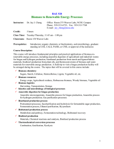 Biomass to Renewable Energy Processes