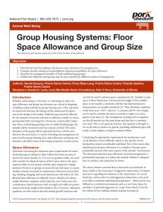 Group Housing Systems: Floor Space Allowance and Group Size