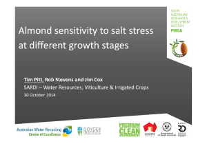 Almond Sensitivity to Salt Stress