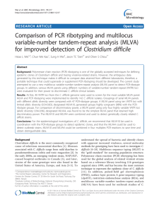 Comparison of PCR ribotyping and multilocus