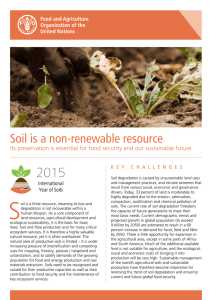 Soil is a non-renewable resource