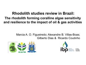 Rhodolith studies review in Brazil