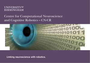 Centre for Computational Neuroscience and Cognitive Robotics leaflet