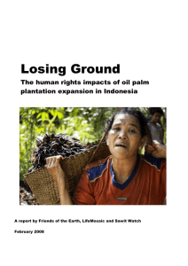 Losing Ground: The human rights impacts of oil palm plantation