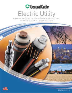 Electric Utility