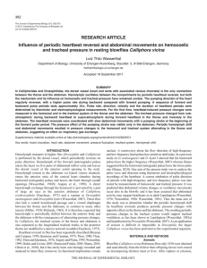 Influence of periodic heartbeat reversal and abdominal movements