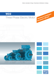 W22 Three-Phase Electric Motor