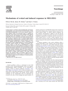 Mechanisms of evoked and induced responses in MEG/EEG