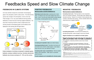 FEEDBACKS IN CLIMATE SYSTEMS POSITIVE FEEDBACKS