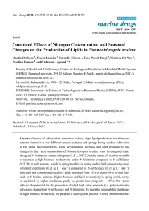 Combined Effects of Nitrogen Concentration and