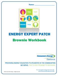 ENERGY EXPERT PATCH Brownie Workbook