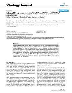 Effect of Ebola virus proteins GP, NP and VP35 on VP40 VLP