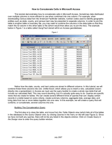 How to Concatenate Cells in Microsoft Access