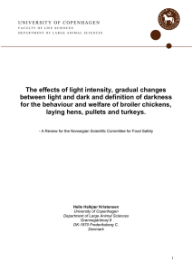 The effects of light intensity, gradual changes between light and dark