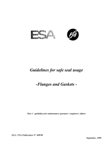 Guidelines for safe seal usage -Flanges and Gaskets -