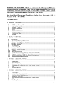 Standard Model Terms and Conditions for Services Contracts (v13