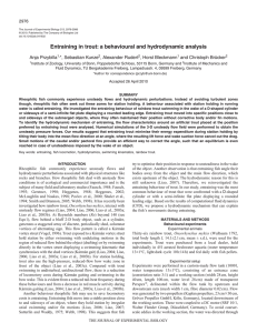 Entraining in trout - Journal of Experimental Biology