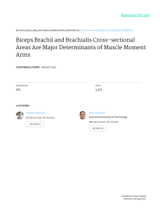 Biceps Brachii and Brachialis Cross-sectional Areas