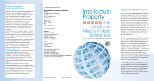 Intellectual Property and Small and Medium-Sized Enterprises
